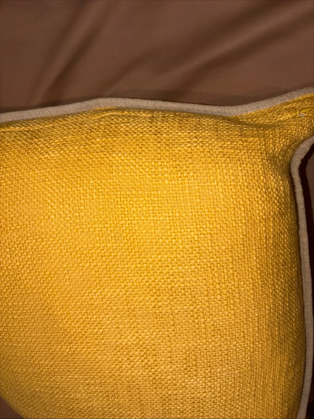 Pottery Barn Throw Pillow Cotton Yellow Duck 20x20